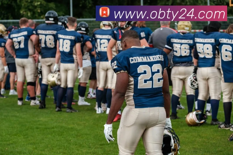 ob欧宝官网平台生态图